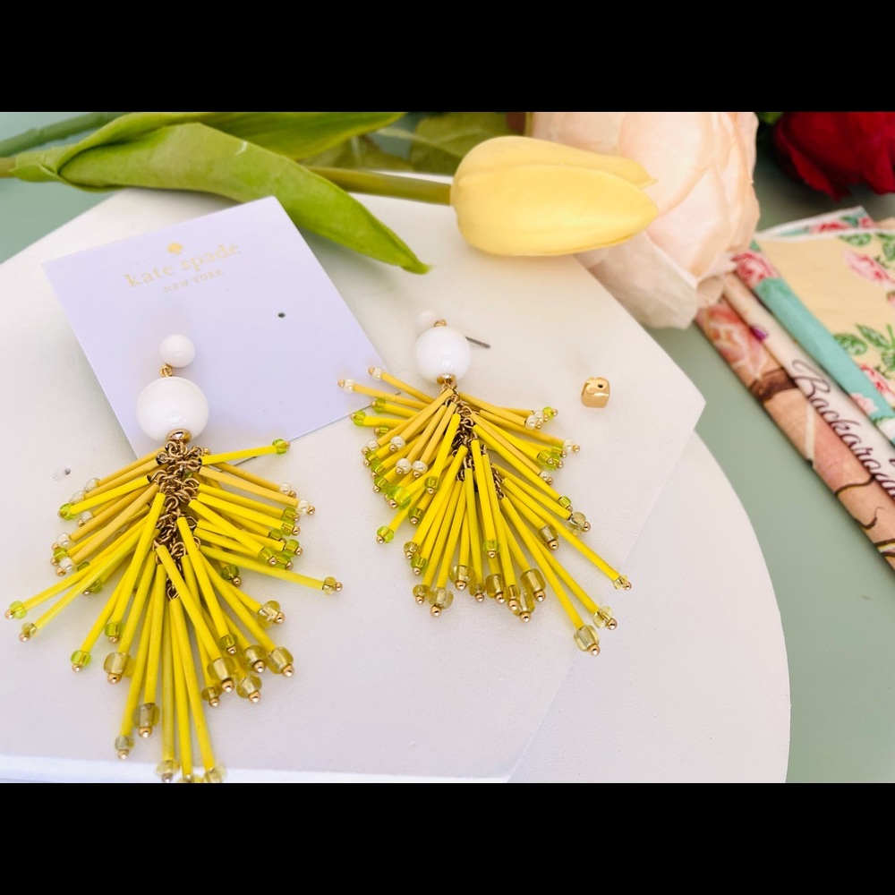 Kate Spade Statement Earrings - image 4